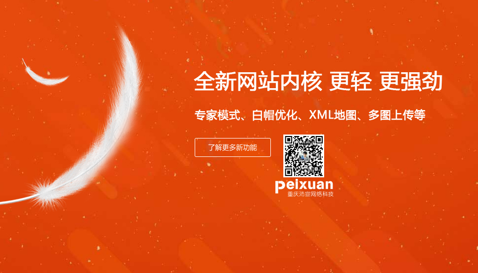重庆杨家坪网站建设_杨家坪网站制作_效果好_收录快