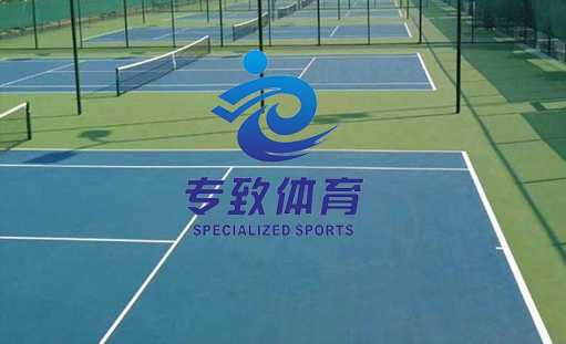 签约重庆专致体育设施有限公司网站建设