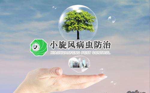 С粡溦޹˾